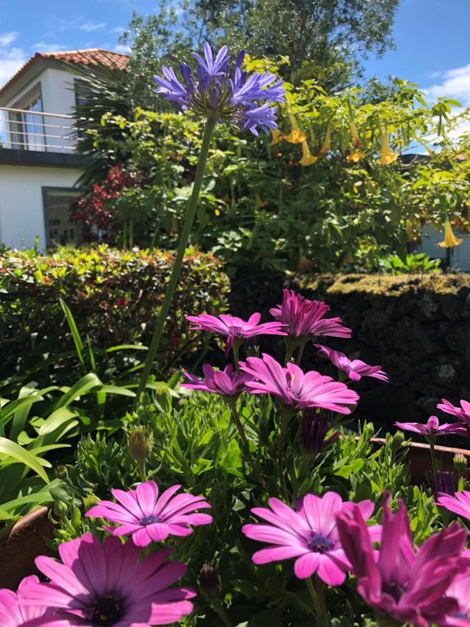 Quinta Da Bela Vista Villa Ponta Delgada Buitenkant foto
